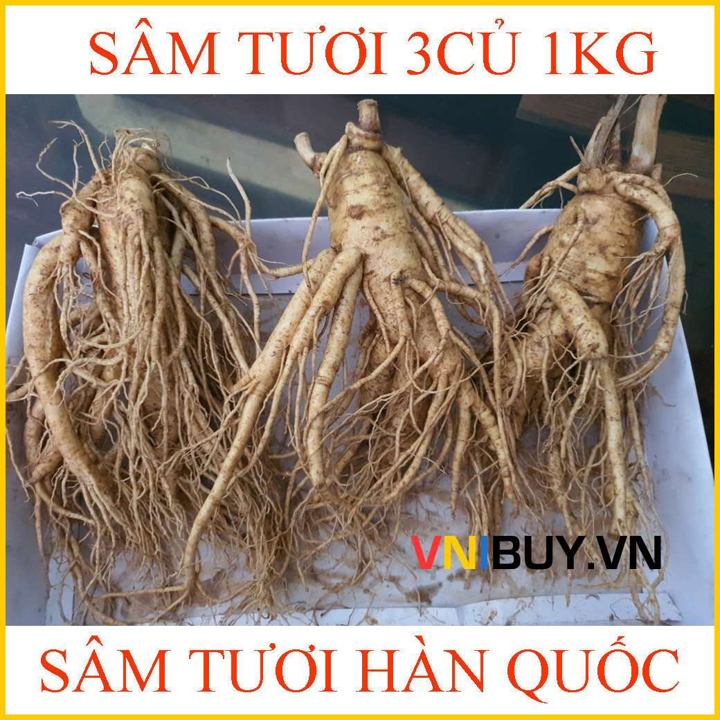 nhan-sam-tuoi-han-quoc-3-cu-1kg