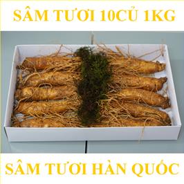 nhan-sam-tuoi-han-quoc-10-cu-1kg