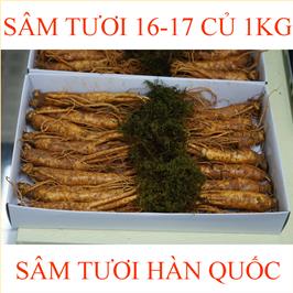 nhan-sam-tuoi-han-quoc-16-17-cu-1kg