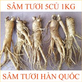 nhan-sam-tuoi-han-quoc-5-cu-1kg