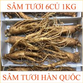 nhan-sam-tuoi-han-quoc-6-cu-1kg