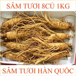 nhan-sam-tuoi-han-quoc-8-cu-1kg